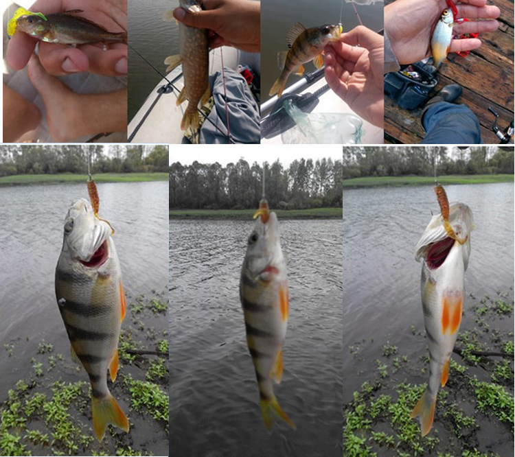 JYJ 5 pz/borsa 1g jig gancio c - Fishing Lure Soft Plastic recensione e prezzo