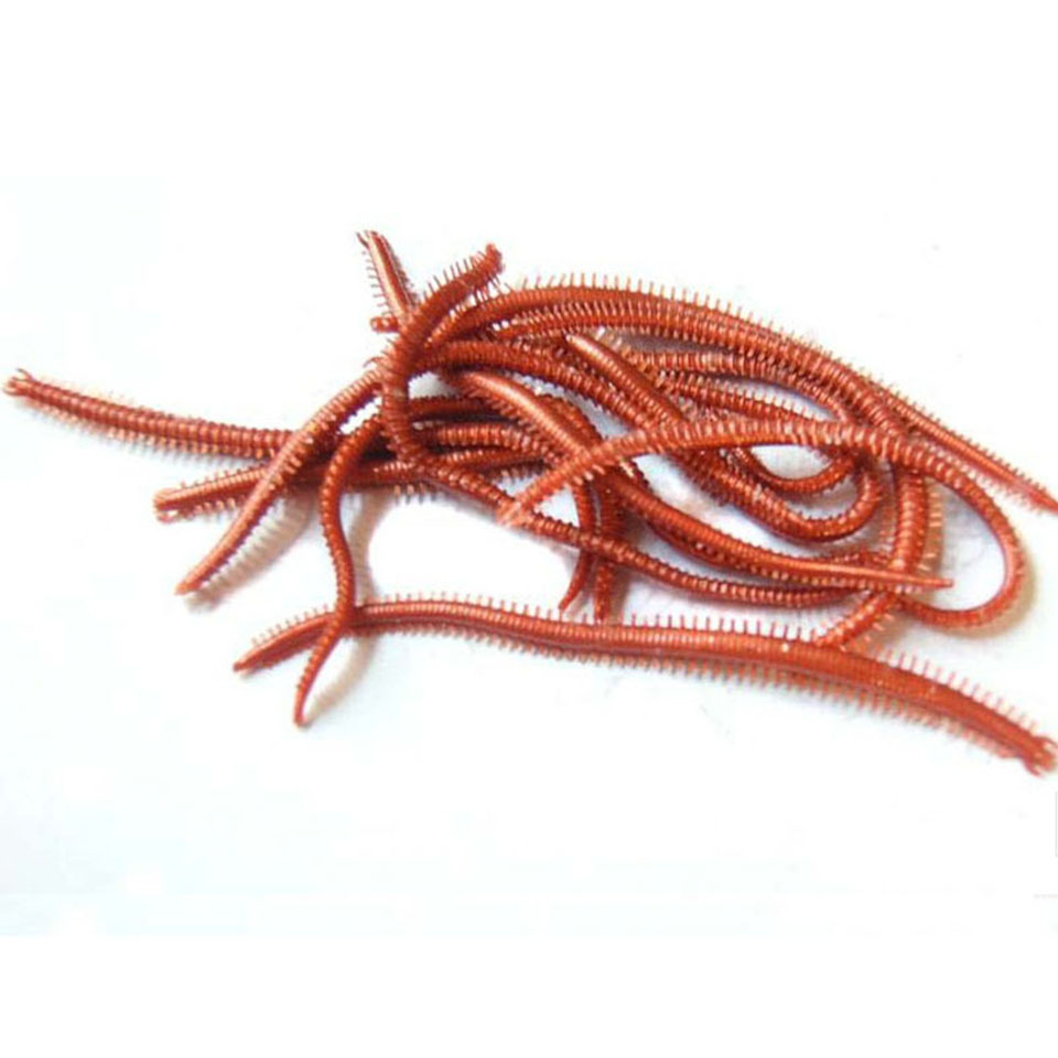 10 pz/lotto vermi di mare arti - Fishing Lure Soft Plastic recensione e prezzo